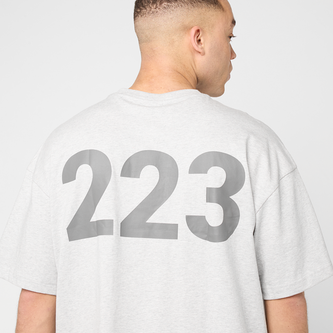 HALO Graphic Boxy T-Shirt grigio 96248 4