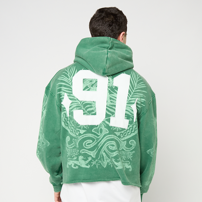 Smoke Rise Champion Fleece Hoodie verde 96485 2