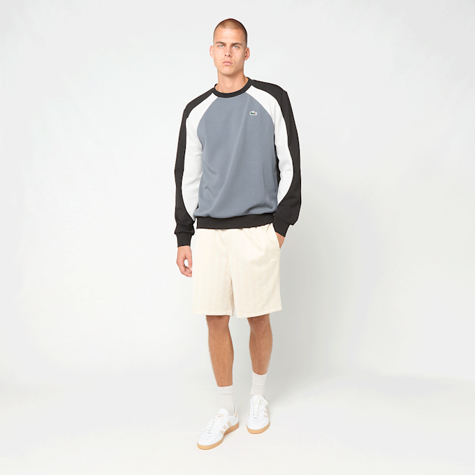 Lacoste Sweatshirt grijs 102533 5