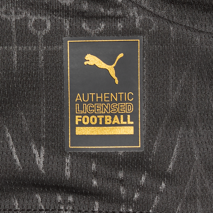 PUMA BVB Sondertrikot 100 Jahre Rote Erde schwarz 109943 4