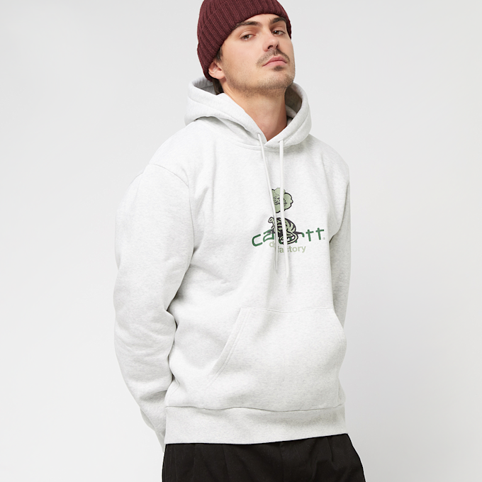 Carhartt WIP Hooded Dream Factory Sweatshirt grau 17184 1