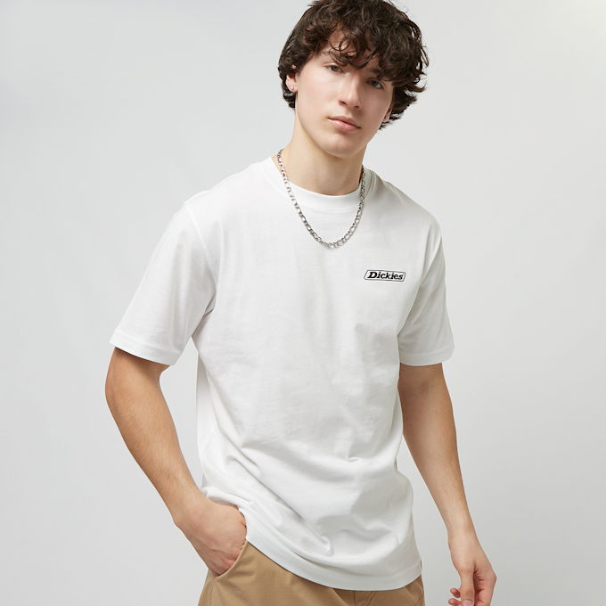 Dickies Roseburg Box Tee Short Sleeve weiß 22467 2