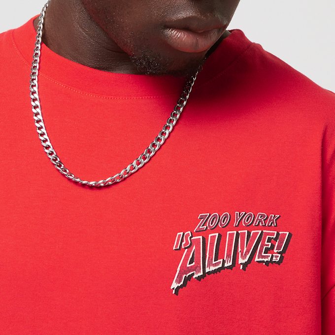 Zoo York Dark Tee Rot 30184 3