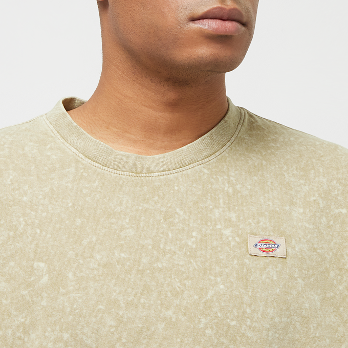 Dickies Newington Tee Shortsleeve grün 30670 3