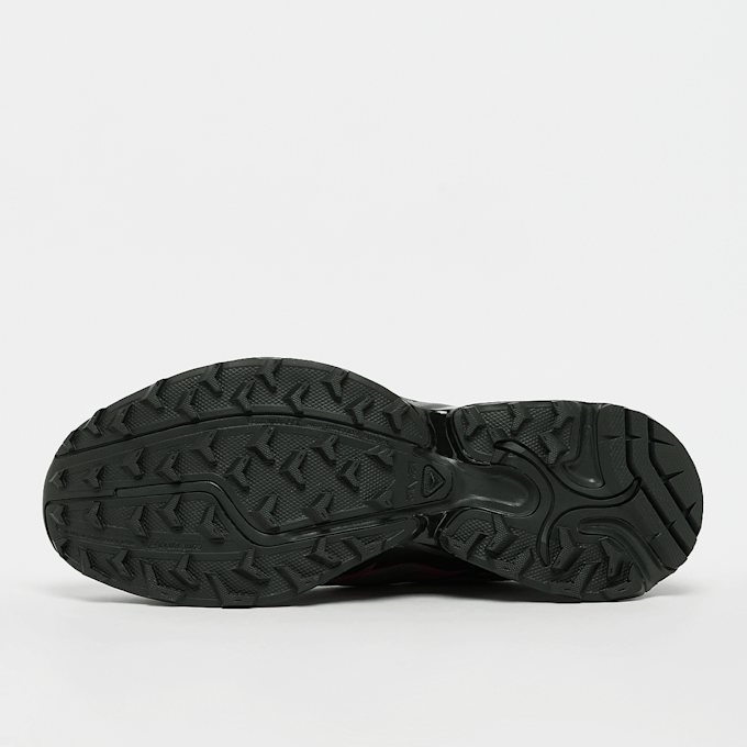 Salomon XT-Pathway 2 Iridescent cinzento 48658 4