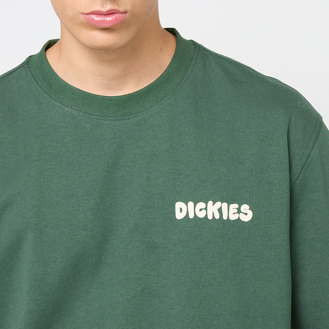 Dickies Gordonsville Short Sleeve Tee vert 49018 3