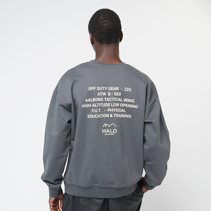 HALO Graphic Boxy Crew gris 85907 1