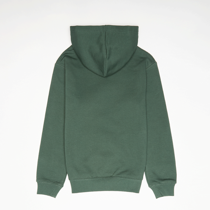 Jordan MJ Brooklyn Fleece Pullover Hoodie verde 91574 2