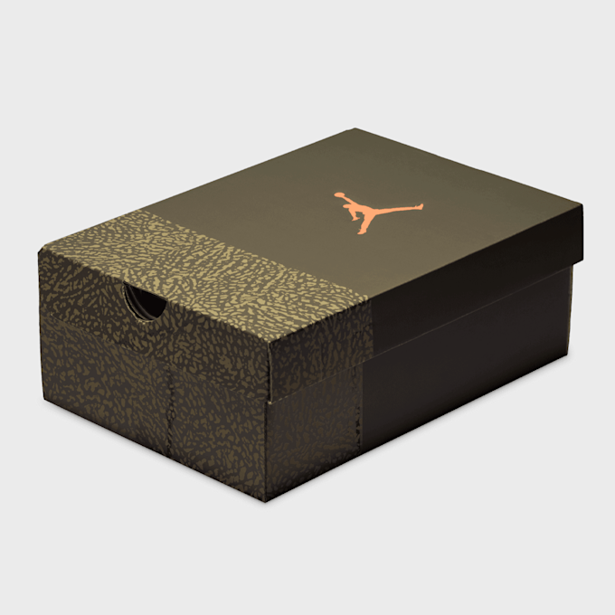 Jordan Air Jordan 3 Retro "Family Affair" (GS) groen 91866 9