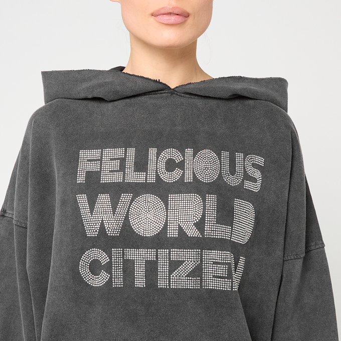 Felicious Vintage Hoodie Rhinestones gris 93135 3