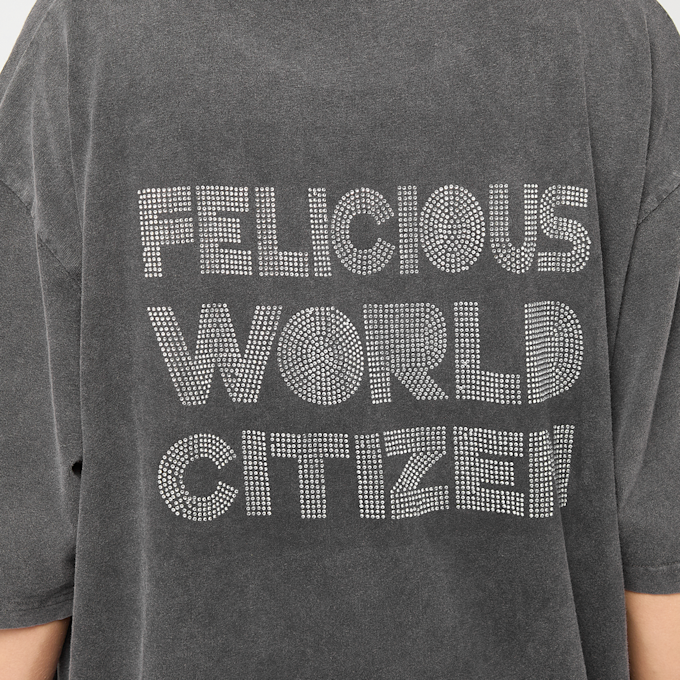 Felicious Vintage Oversize T-Shirt Rhinestones Grau 93139 4