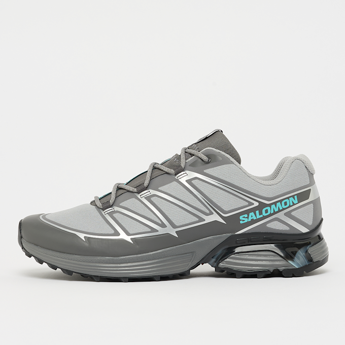 Salomon XT-Pathway cinzento 93791 1