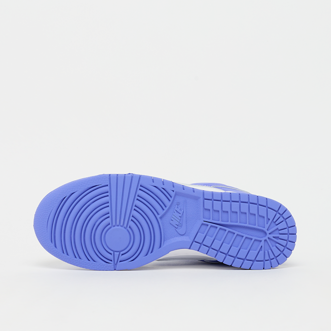 Nike   Dunk Low plava 94451 4