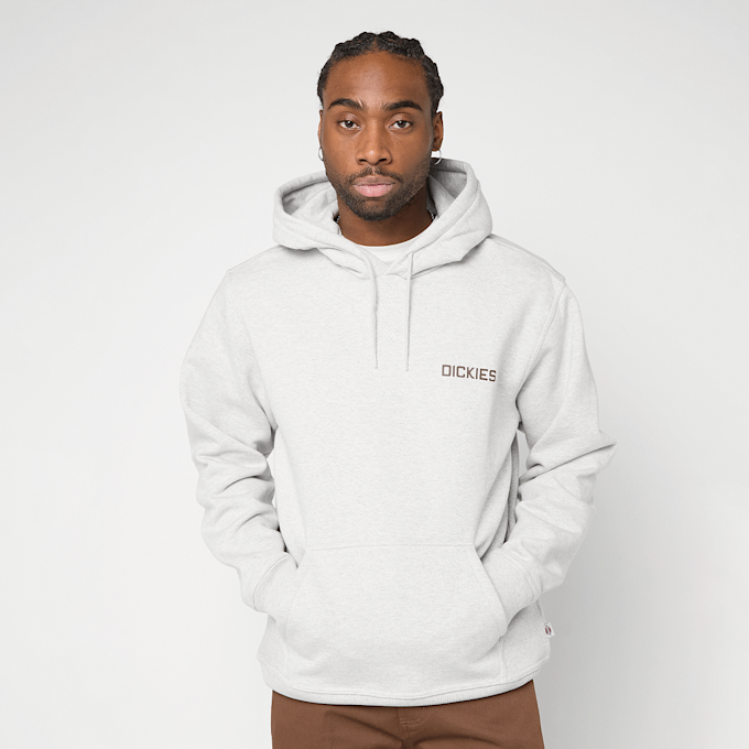 Dickies Payson Hoodie grijs 94932 2
