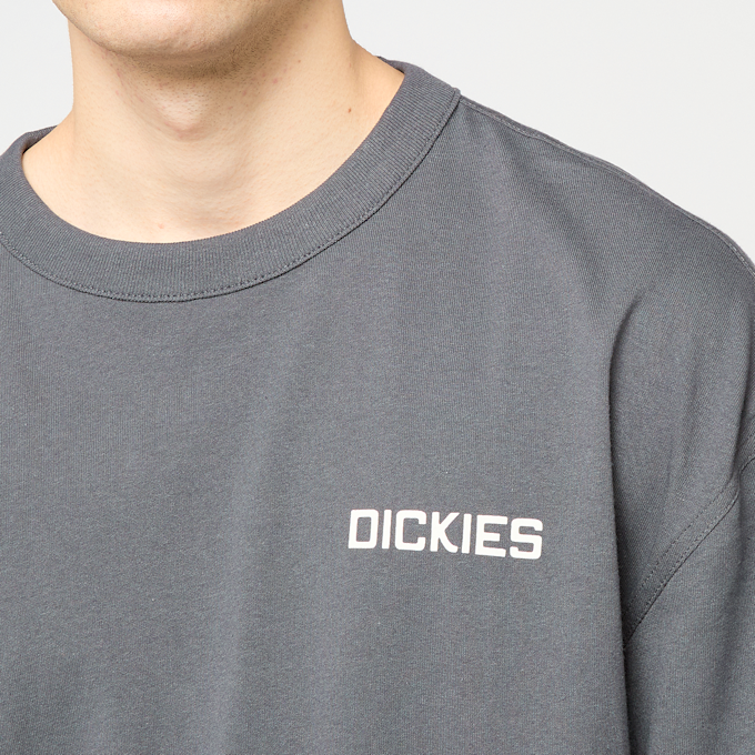 Dickies Payson 2fer Tee grigio 94939 3