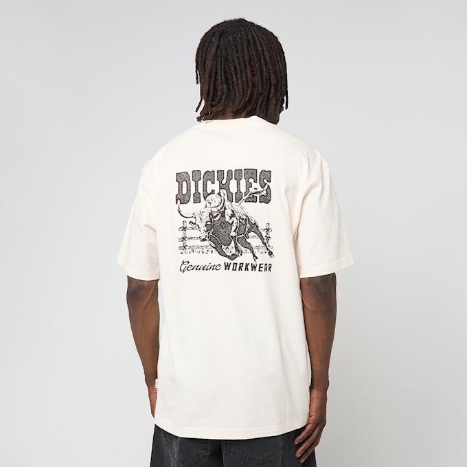 Dickies Buchtell Short Sleeve Tee beige 94936 1