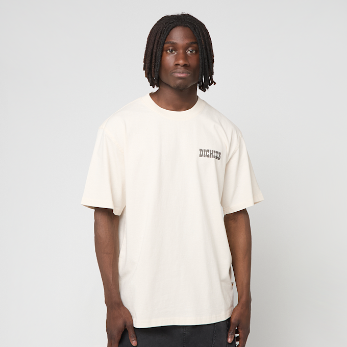 Dickies Buchtell Short Sleeve Tee beige 94936 2