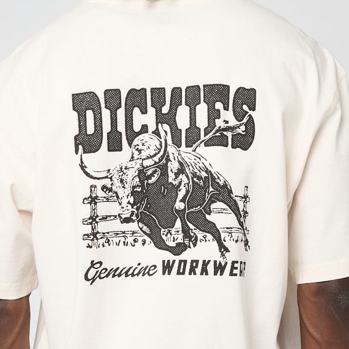 Dickies Buchtell Short Sleeve Tee beige 94936 3