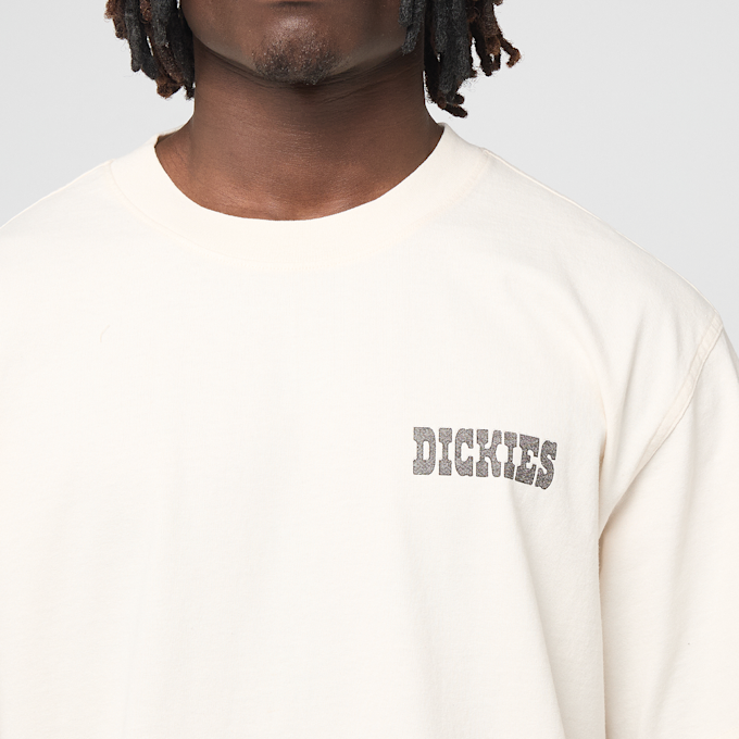 Dickies Buchtell Short Sleeve Tee beige 94936 4