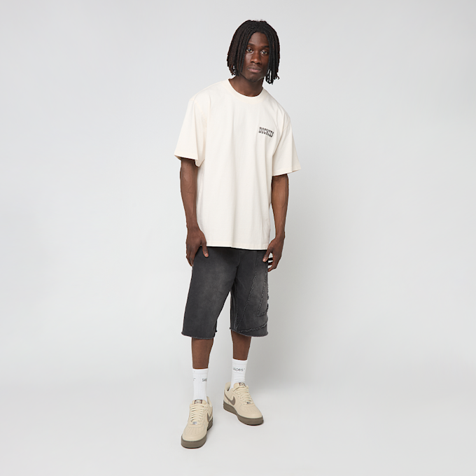 Dickies Buchtell Short Sleeve Tee beige 94936 5