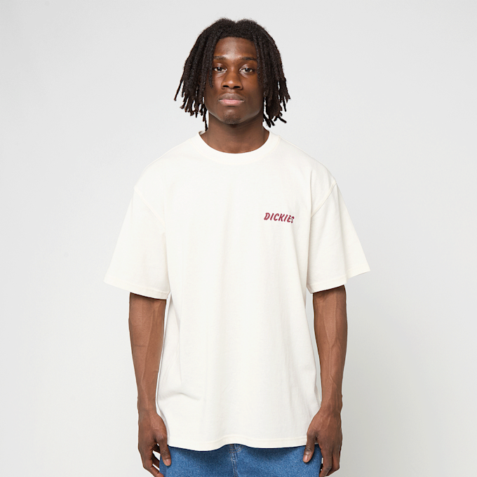 Dickies Dry Ridge Shortsleeve Tee bež 94944 2