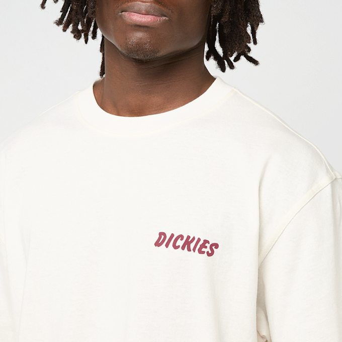 Dickies Dry Ridge Shortsleeve Tee beige 94944 3