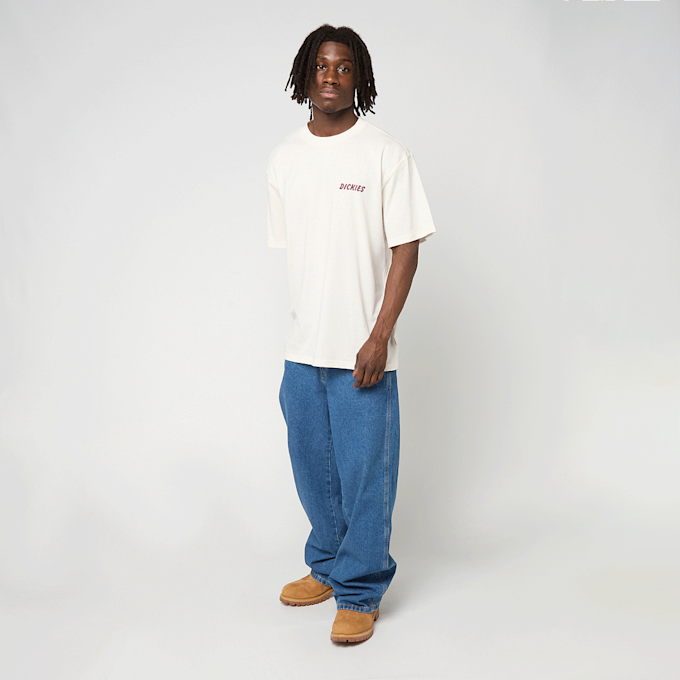 Dickies Dry Ridge Shortsleeve Tee beige 94944 5