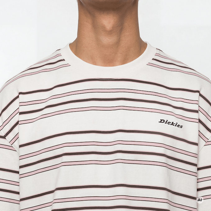 Dickies East Liberty Stripe Shortsleeve Tee beige 94943 3