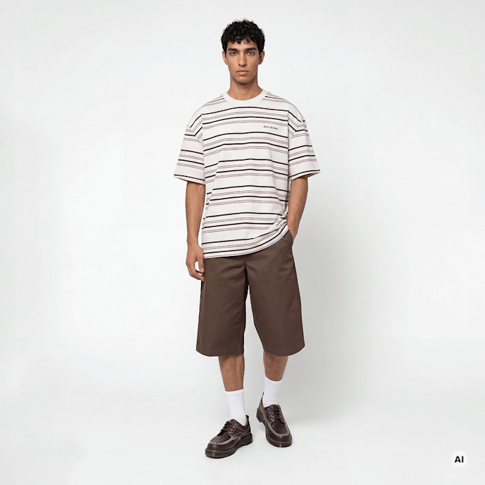 Dickies East Liberty Stripe Shortsleeve Tee bege 94943 4