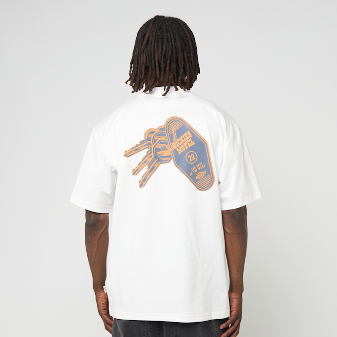 Dickies Plain City Short Sleeve Tee biały 94942 1