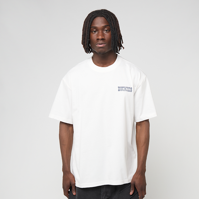 Dickies Plain City Short Sleeve Tee biały 94942 2