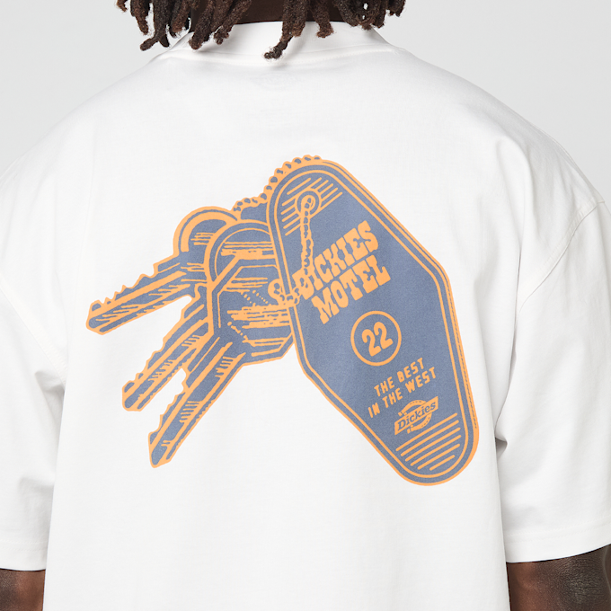 Dickies Plain City Short Sleeve Tee biały 94942 3