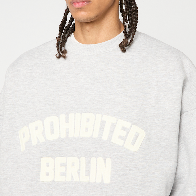 Prohibited Berlin Crew Neck grau 95790 3