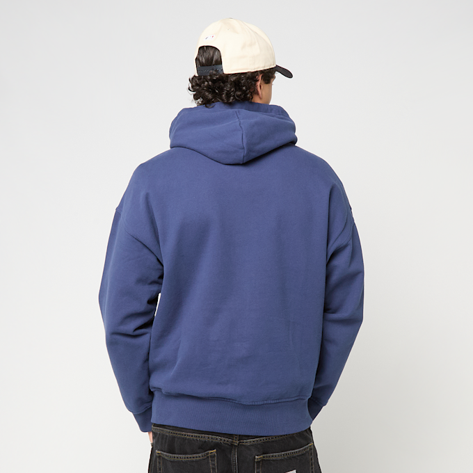 Polo Ralph Lauren Fleece Hoodie azul 96328 2