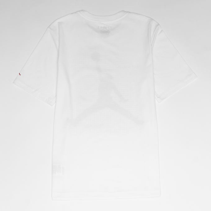 Jordan Jumpman Grid Blur bijela 97455 2