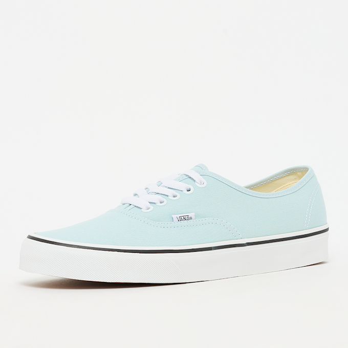 Vans Authentic azul 97495 2