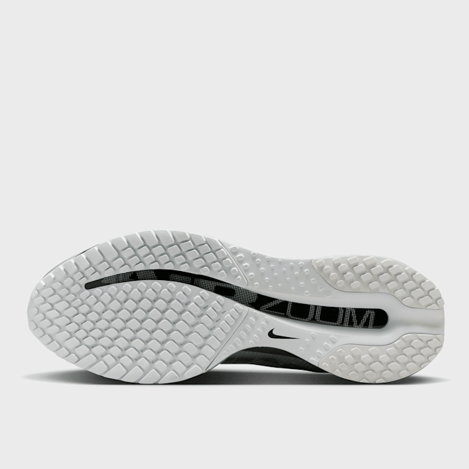 Nike   Pegasus Premium RR prateado 97946 5