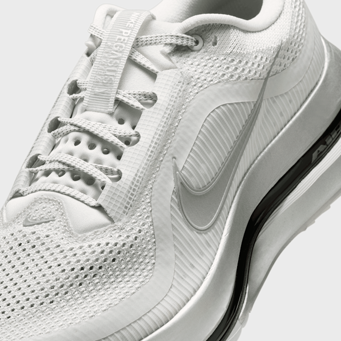 Nike   Pegasus Premium RR prateado 97946 7