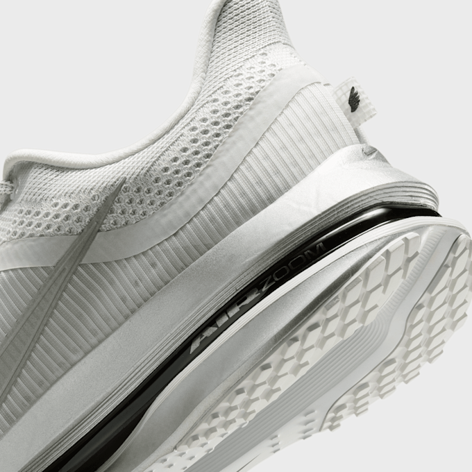 Nike   Pegasus Premium RR prateado 97946 8