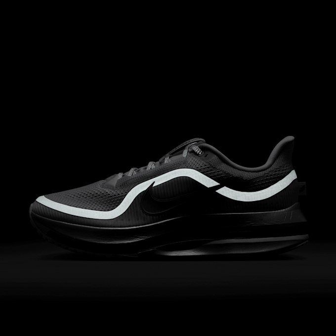 Nike   Pegasus Premium RR prateado 97946 9