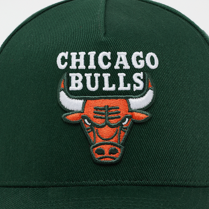 Mitchell & Ness Pro Crown NBA Chicago Bulls zielony 99059 5