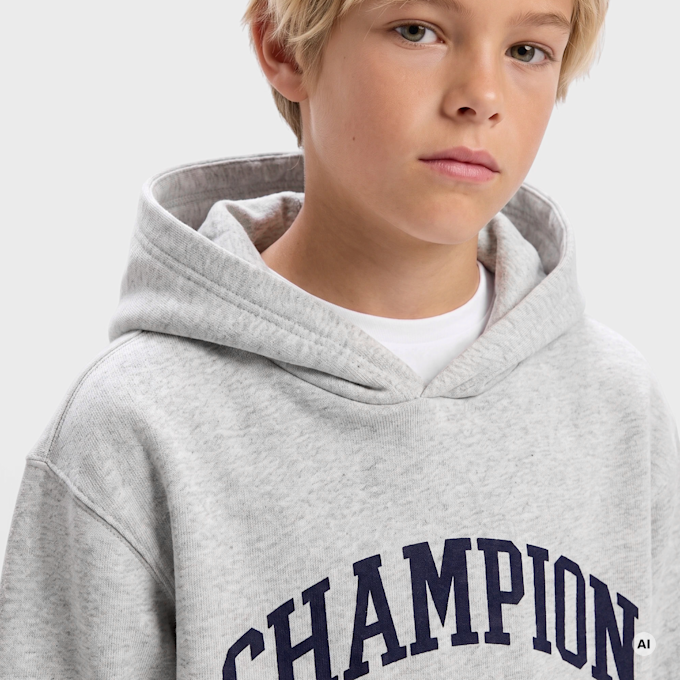 Champion Hooded Sweatshirt gris 108210 3