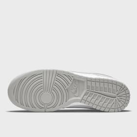 Nike Dunk Low Retro siva