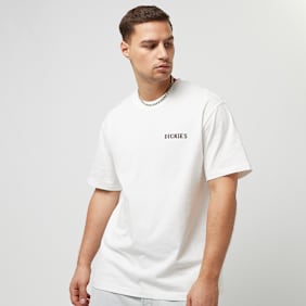 Dickies Hays Tee Shortsleeve blanc