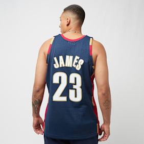 Mitchell & Ness NBA Swingman Jersey Cleveland Cavaliers 2008-09 Lebron James blau