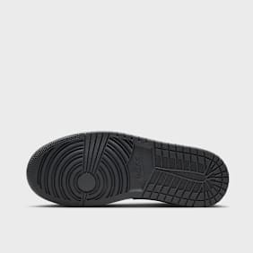 Jordan WMNS Air Jordan 1 Low višebojno