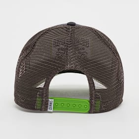 DJINNS HFT Cap DNC Sun gris
