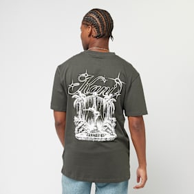 Karl Kani Icy Dancer Backprint Tee grigio