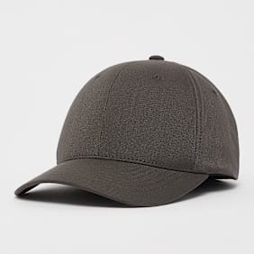 Flexfit Flexfit Cap grijs