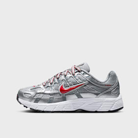 Nike   P-6000 (GS) zilver